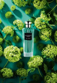 Jean Poivre The Mysterious Garden Eau de Parfum (EdP) 100 ml