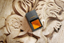 Carner Barcelona Felino Eau de Parfum (EdP) 50 ml