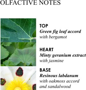 Molton Brown Geranium Nefertum Body Lotion 300 ml