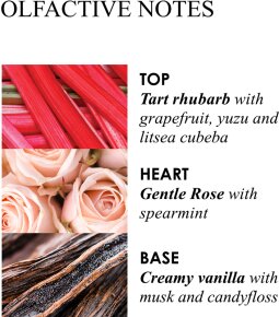 Molton Brown Delicious Rhubarb & Rose Hand Sanitisers Gel 100 ml