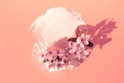 Académie Time Active Crème Hydrastiane Jeunesse 50 ml