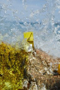 Carner Barcelona Sal y Limon Eau de Parfum (EdP) 30 ml