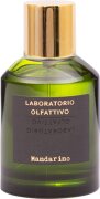 Laboratorio Olfattivo Vetyverso Eau de Parfum (EdP)