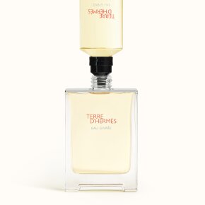 Hermès Terre d'Hermès Eau Givrée Eau de Parfum (EdP) 50 ml