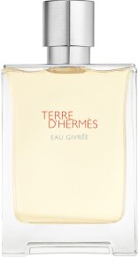 Hermès Terre d'Hermès Eau Givrée Eau de Parfum (EdP) 100 ml