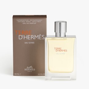 Hermès Terre d'Hermès Eau Givrée Eau de Parfum (EdP) 100 ml