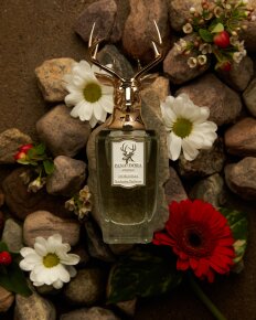 Pana Dora Dorasima Eau de Parfum (EdP) 100 ml