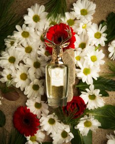 Pana Dora Dorasima Eau de Parfum (EdP) 100 ml