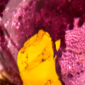 THoO Grape Pearls Eau de Parfum (EdP) 75 ml