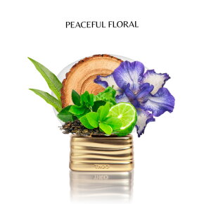 THoO The Time Eau de Parfum (EdP) 75 ml