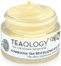TEAOLOGY Kombucha Tea Revitalizing Eye Cream 15 ml