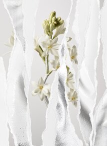 Maison Margiela Mutiny Eau de Parfum (EdP) 90 ml