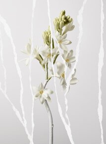 Maison Margiela Mutiny Eau de Parfum (EdP) 90 ml