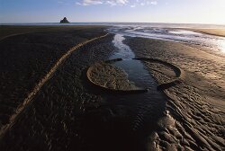 Olfactive Studio Collection Sepia Leather Shot Extrait de Parfum 100 ml