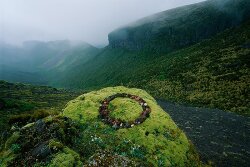 Olfactive Studio Collection Sepia Chypre Shot Extrait de Parfum 100 ml