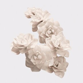 Burberry Her Elixir Eau de Parfum (EdP) 30 ml