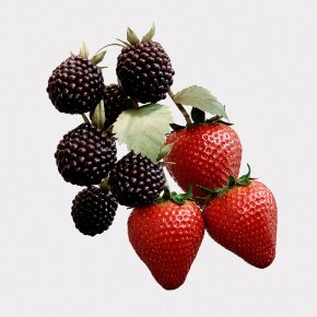 Burberry Her Elixir Eau de Parfum (EdP) 100 ml