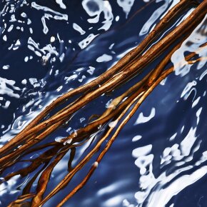 Aktion - Davidoff Cool Water Oceanic Edition Eau de Toilette (EdT) 125 ml