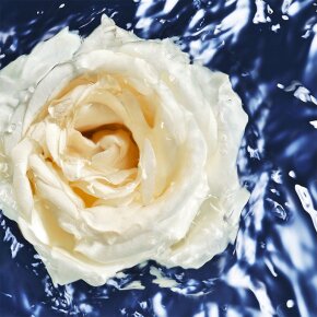 Aktion - Davidoff Cool Water Women Oceanic Edition Eau de Toilette (EdT) 100 ml