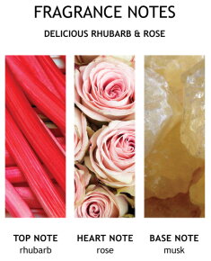 Molton Brown Delicious Rhubarb & Rose Fine Liquid Hand Wash Glass Bottle 200 ml