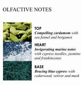 Molton Brown Coastal Cypress & Sea Fennel Fine Liquid Hand Wash Glass Bottle 200 ml