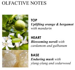 Molton Brown Orange & Bergamot Fine Liquid Hand Wash Glass Bottle 200 ml