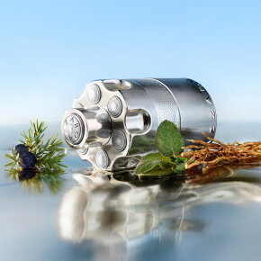 Azzaro Wanted Eau de Parfum (EdP) 100 ml