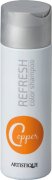 Artistique Refresh Color Shampoo 200 ml