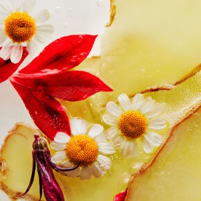 Erno Laszlo Sensitive Soothing Relief Hydration Lotion 150 ml