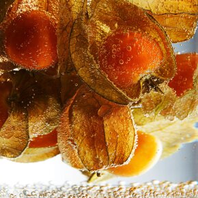 Erno Laszlo Sensitive Soothing Relief Hydration Serum 30 ml