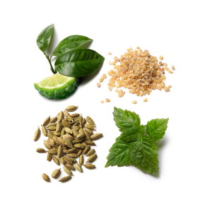 Brioni Essentiel Eau de Parfum (EdP) 100 ml