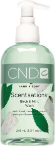 CND Flüssigseife Scentsations Wash Birch & Mint 245 ml