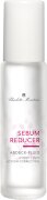 Charlotte Meentzen Sebum Reducer Abdeck-Fluid 10 ml