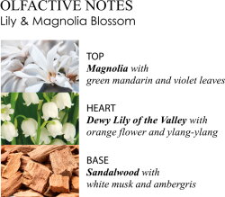 Molton Brown Lily & Magnolia Blossom Eau de Toilette (EdT) 100 ml