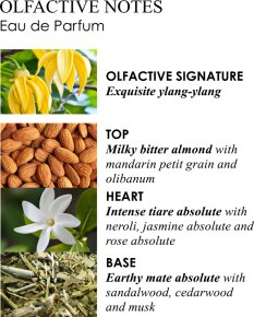 Molton Brown Flora Luminare Eau de Parfum (EdP) Travel Case Refill 7,5 ml