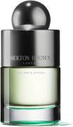 Molton Brown Wild Mint & Lavandin Eau de Toilette (EdT) 100 ml