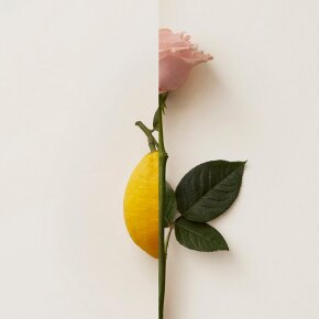 New Notes Rosa Limone Extrait de Parfum 50 ml