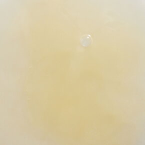 Santaverde Bakuchiol Drops 30 ml