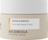 Biodroga Bioscience Institute Repair & Protect Overnight Repair Cream 50 ml