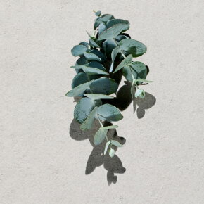 Adidas UEFA 10 Star Edition Shower Gel 250 ml