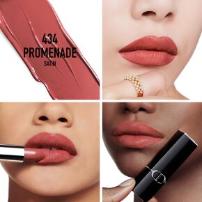 DIOR Rouge Dior Satin Lipstick N 3,5 g 434 Promenade