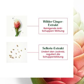 Rene Furterer Neopur Ausgl. Anti-Schuppen Shampoo Für Fettige Schuppen, Fettige Kopfhaut 150 ml