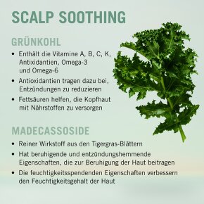 Schwarzkopf Professional Bonacure Soothing Shampoo 250 ml