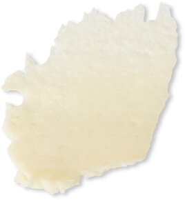 Evolve Organic Beauty Lip Treat 15 ml