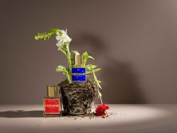 Nishane B-612 Extrait de Parfum 50 ml