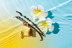 Aktion - Nuxe Sun Sonnenspray Gesicht & K&ouml;rper LSF 50 50 ml