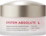 ANNEMARIE BÖRLIND SYSTEM ABSOLUTE Nachtcreme