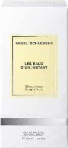 Angel Schlesser Les Eaux d'un Instant Blooming Grapefruit Eau de Toilette (EdT) 100 ml