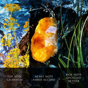 Davidoff Cool Water Reborn Intense Eau de Parfum (EdP) 100 ml