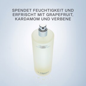 La Prairie Cellular Energizing Mist 100 ml